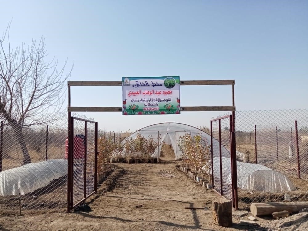 Refurbished greenhouse in Deir ez-Zour