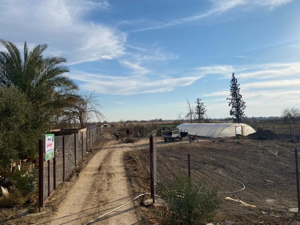 Refurbished greenhouse in Deir ez-Zour