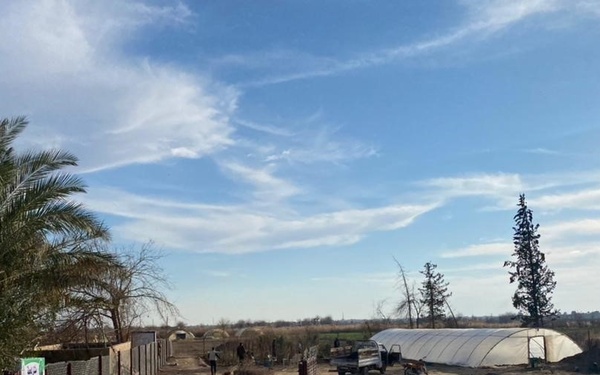 Refurbished greenhouse in Deir ez-Zour