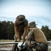 STALKER Marines conduct flight operations