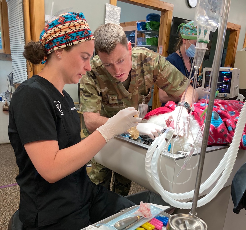 Civilian partnerships provide key readiness training for 167th medics