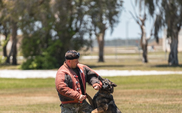 Military working dog unit performs demo for community members at MacDill