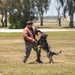 Military working dog unit performs demo for community members at MacDill