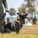 Military working dog unit performs demo for community members at MacDill