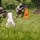 Iowa, Kosovo troops conduct joint live-fire exercise Iowa, Kosovo troops conduct joint live-fire exercise