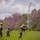 Iowa, Kosovo troops conduct joint live-fire exercise Iowa, Kosovo troops conduct joint live-fire exercise