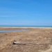 USACE Presque Isle Beach Walk, Spring 2022