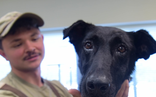 Moody VTF cares for MWDs, pets