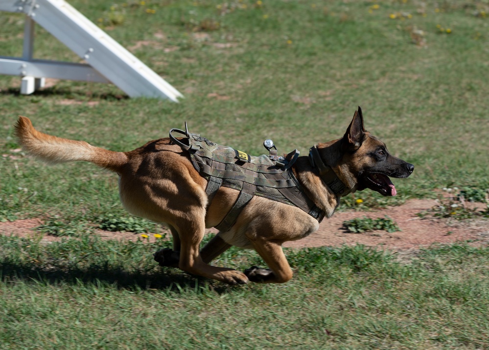 366th SFS working dogs compete with Meridian K-9 team