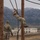 Ivy Week 2022 Mabry Mile: Descending down A U.S. Army soldier in MultiCam/OCP camouflage uniform is climbing a rope on a military obstacle course, suspended between two large wooden poles. A second soldier wearing a brown beanie and black gloves observes from below. The setting appears to be a military installation with snow-dusted mountains visible in the background.