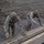 Ivy Week 2022 Mabry Mile: Keep Climbing up! Two U.S. Army soldiers in MultiCam (OCP) uniforms are climbing up a wooden inclined obstacle, likely part of a physical training or obstacle course. A third soldier stands in the background observing or supervising. The setting appears to be an outdoor training area with sandy, muddy ground in cold weather conditions.