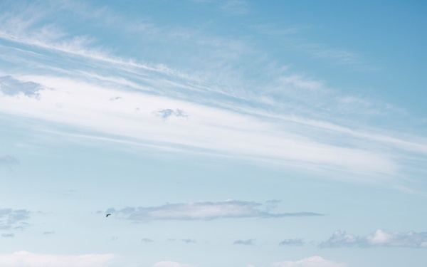 Belleau Wood 22: Normandy, France