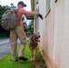 Sniffing out danger at Okuma