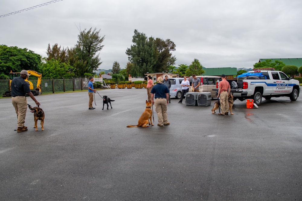 Sniffing out danger at Okuma