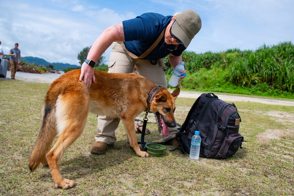 Sniffing out danger at Okuma