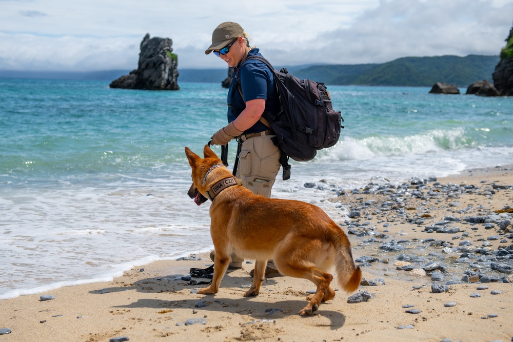 Sniffing out danger at Okuma