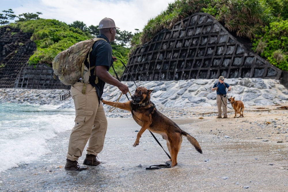 Sniffing out danger at Okuma