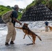 Sniffing out danger at Okuma