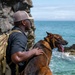 Sniffing out danger at Okuma