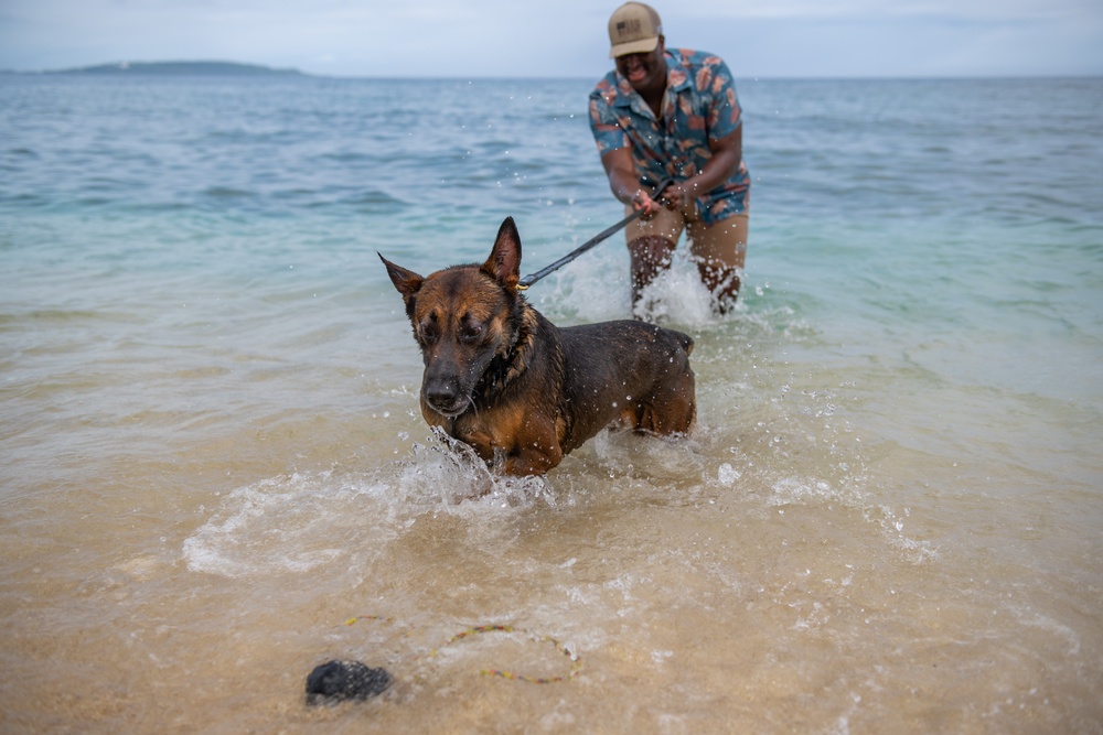 Sniffing out danger at Okuma