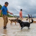 Sniffing out danger at Okuma
