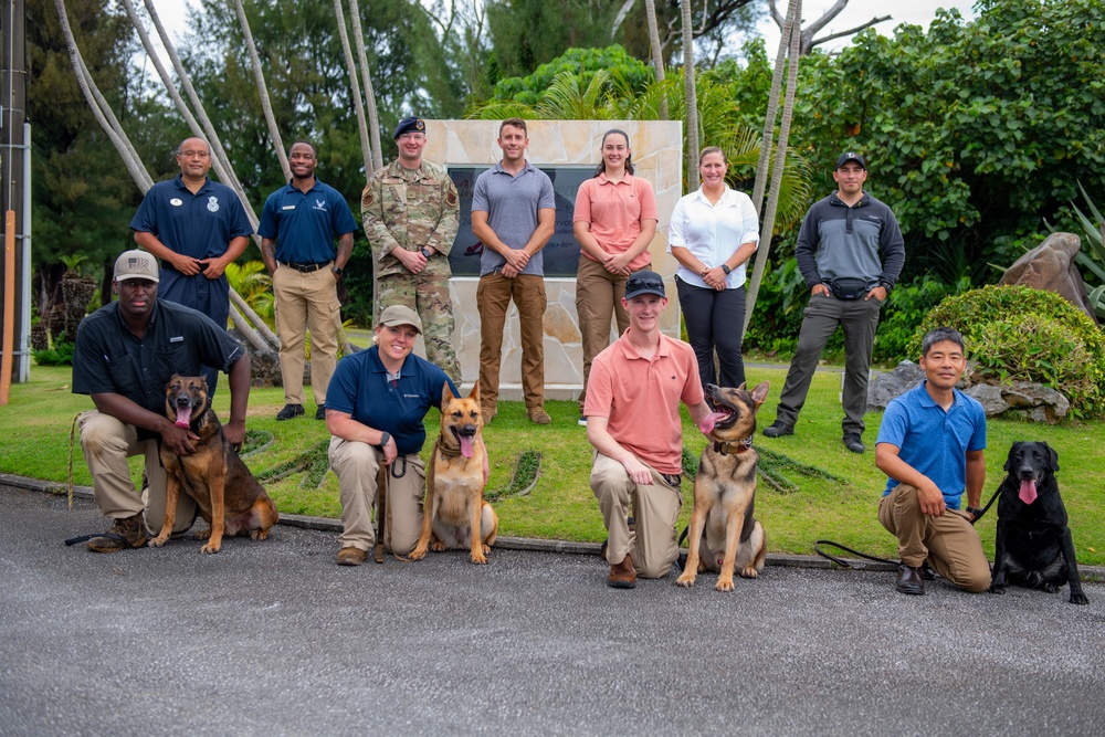 Sniffing out danger at Okuma