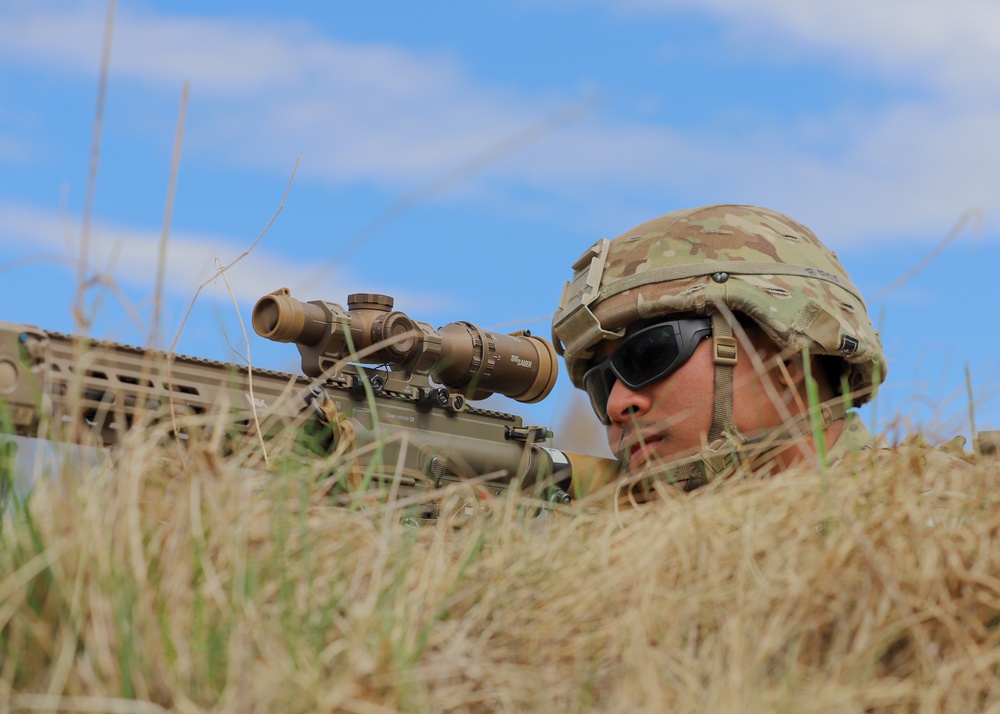 Thunderbolt Focus 22: Multinational Anti-Armor Training Exercise