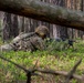 4ID Soldiers Participate in a Live-Fire Exercise during DEFENDER-Europe 22