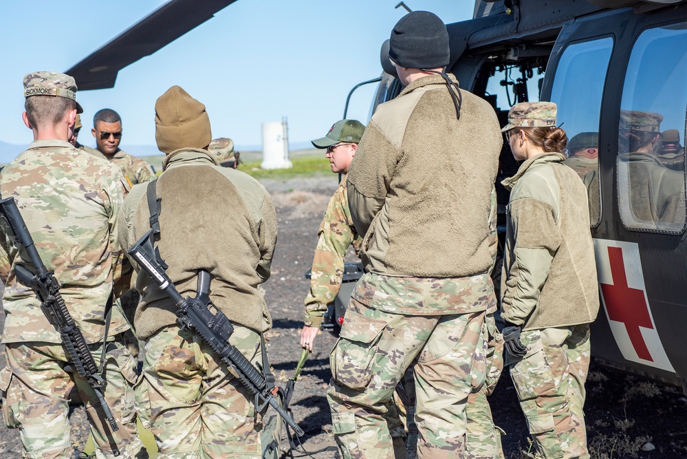 Idaho Army National Guard conducts joint medevac, casualty training Idaho Army National Guard conducts joint medevac, casualty training