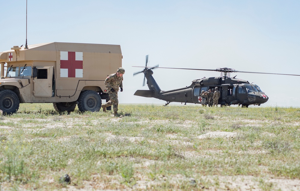 Idaho Army National Guard conducts joint medevac, casualty training Idaho Army National Guard conducts joint medevac, casualty training