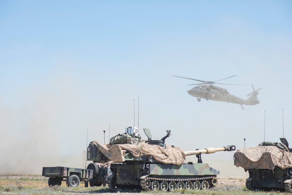 Idaho Army National Guard conducts joint medevac, casualty training Idaho Army National Guard conducts joint medevac, casualty training