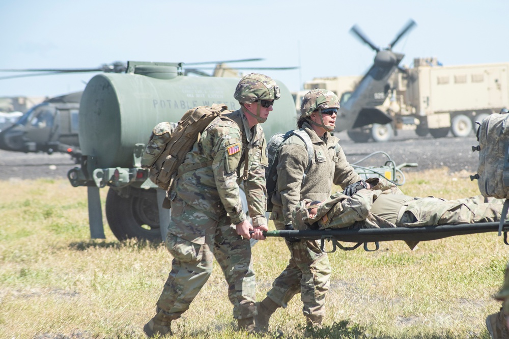 Idaho Army National Guard conducts joint medevac, casualty training Idaho Army National Guard conducts joint medevac, casualty training