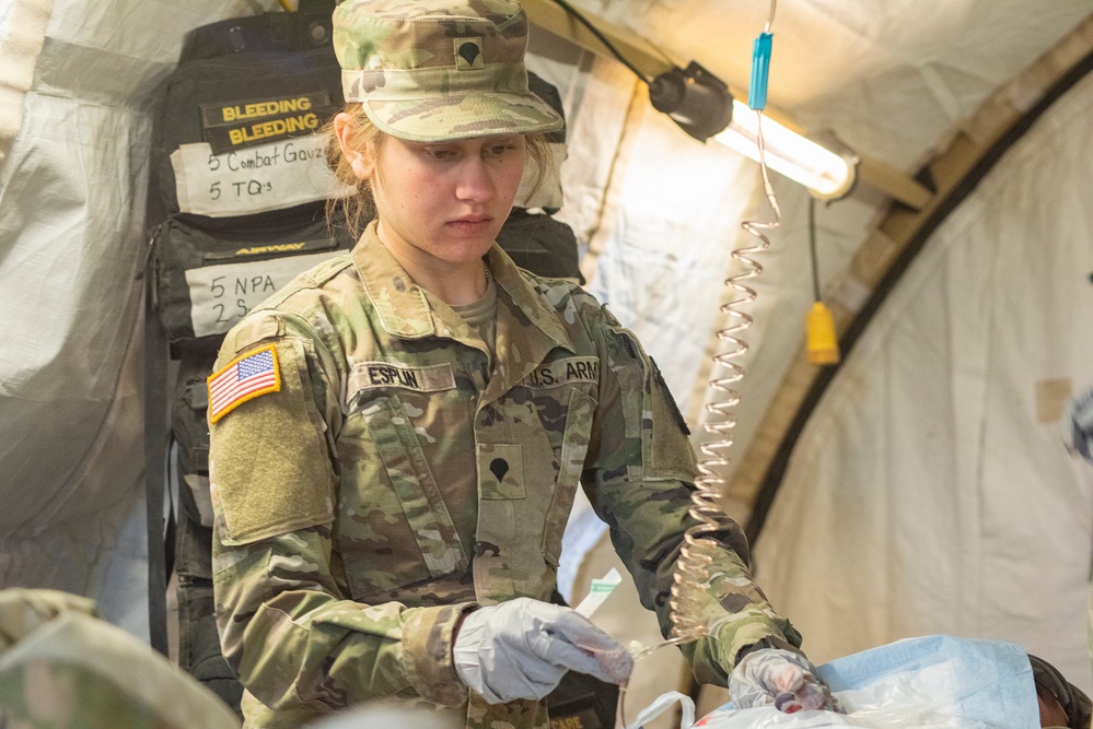 Idaho Army National Guard conducts joint medevac, casualty training Idaho Army National Guard conducts joint medevac, casualty training
