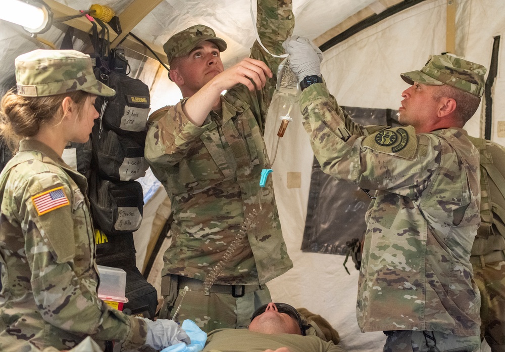 Idaho Army National Guard conducts joint medevac, casualty training Idaho Army National Guard conducts joint medevac, casualty training