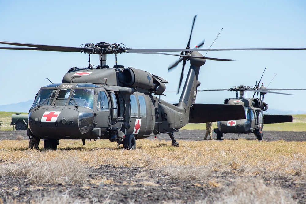Idaho Army National Guard conducts joint medevac, casualty training Idaho Army National Guard conducts joint medevac, casualty training