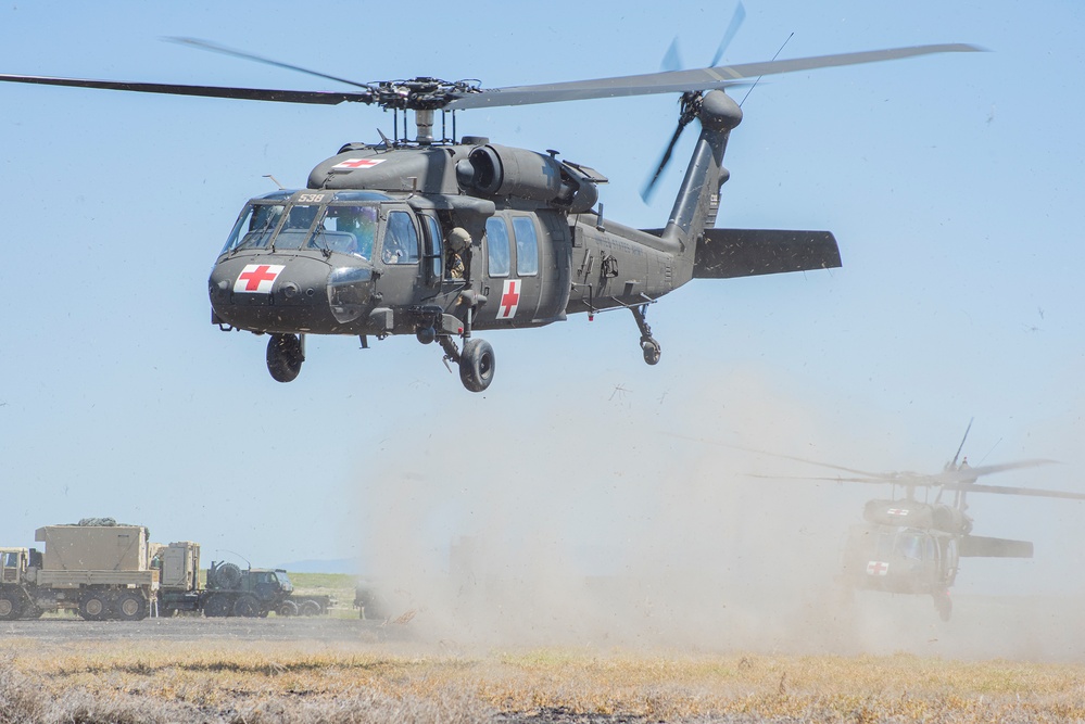 Idaho Army National Guard conducts joint medevac, casualty training Idaho Army National Guard conducts joint medevac, casualty training