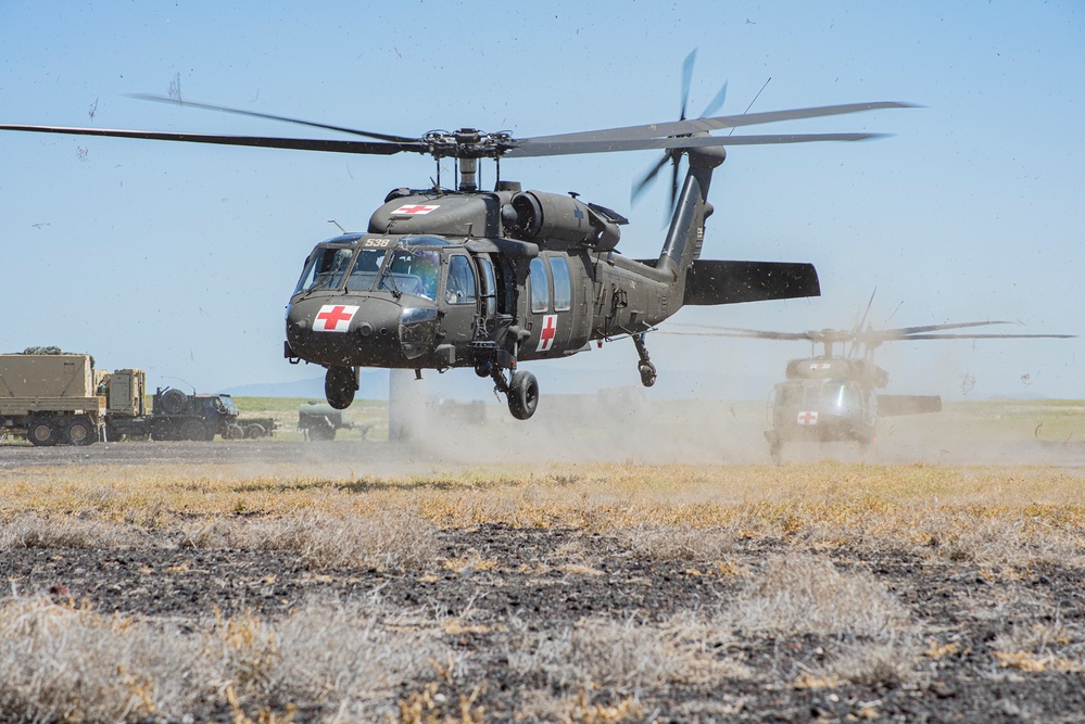 Idaho Army National Guard conducts joint medevac, casualty training Idaho Army National Guard conducts joint medevac, casualty training