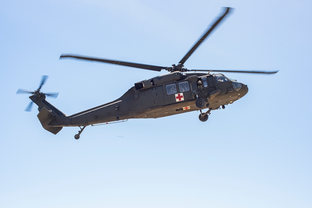 Idaho Army National Guard conducts joint medevac, casualty training Idaho Army National Guard conducts joint medevac, casualty training