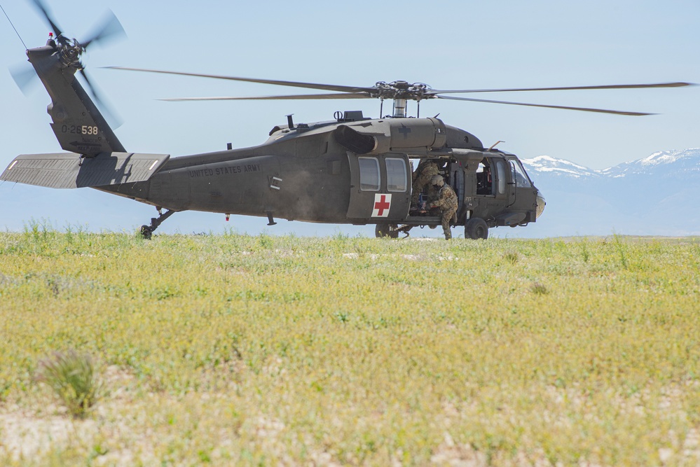 Idaho Army National Guard conducts joint medevac, casualty training Idaho Army National Guard conducts joint medevac, casualty training