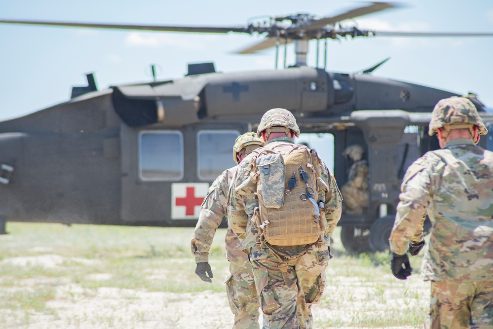 Idaho Army National Guard conducts joint medevac, casualty training Idaho Army National Guard conducts joint medevac, casualty training