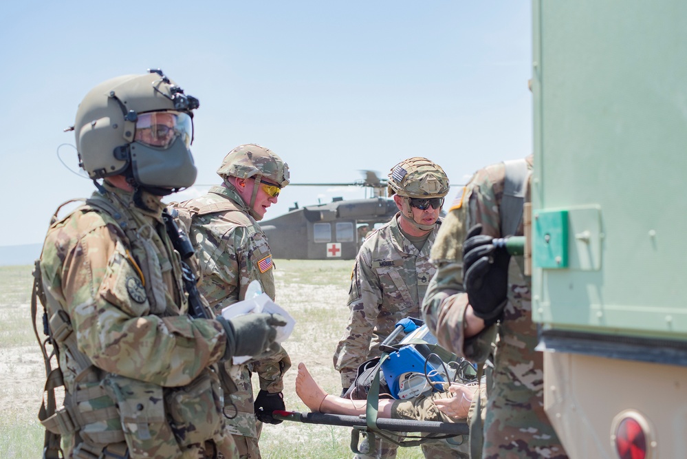 Idaho Army National Guard conducts joint medevac, casualty training Idaho Army National Guard conducts joint medevac, casualty training