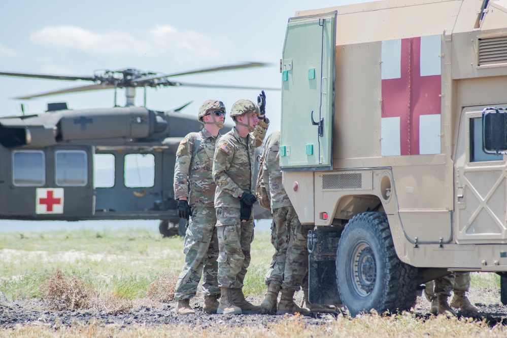 Idaho Army National Guard conducts joint medevac, casualty training Idaho Army National Guard conducts joint medevac, casualty training
