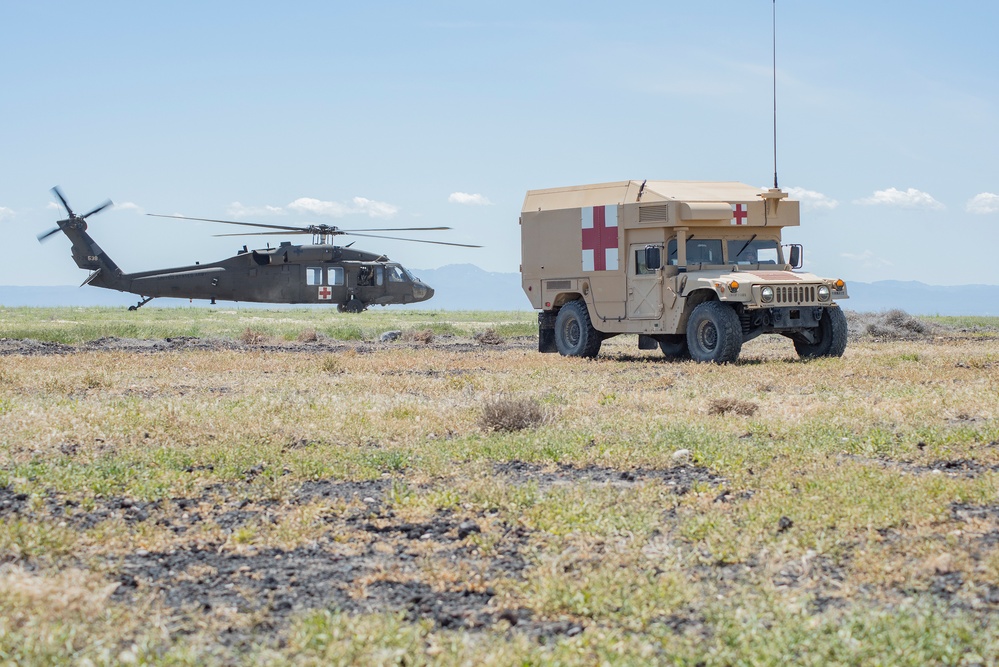 Idaho Army National Guard conducts joint medevac, casualty training Idaho Army National Guard conducts joint medevac, casualty training
