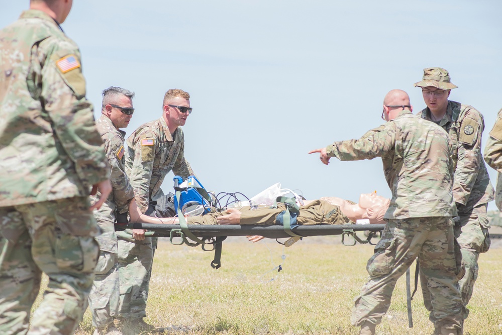 Idaho Army National Guard conducts joint medevac, casualty training Idaho Army National Guard conducts joint medevac, casualty training
