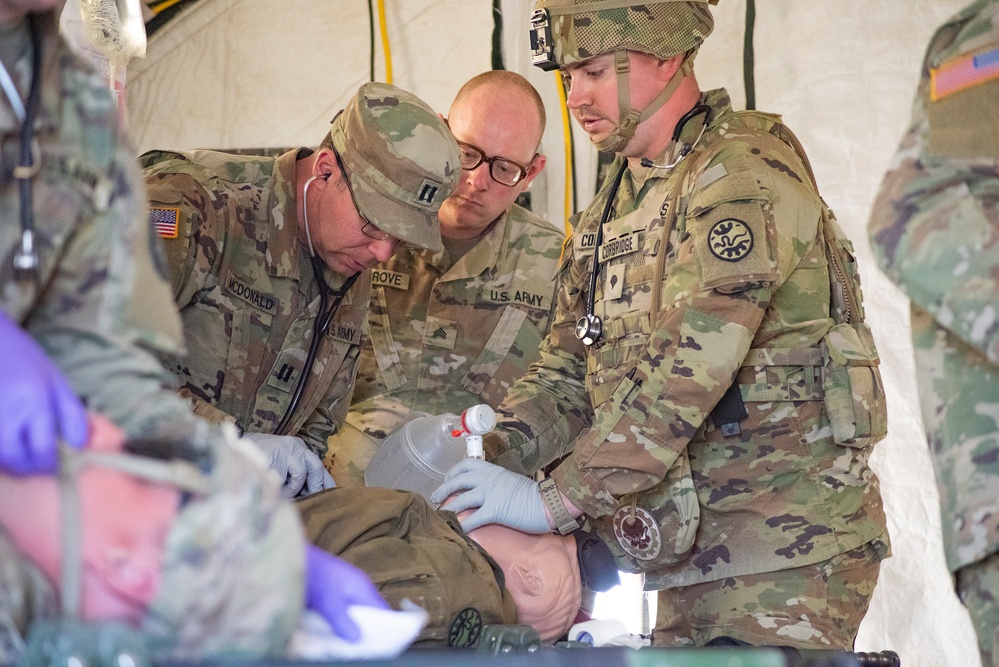 Idaho Army National Guard conducts joint medevac, casualty training Idaho Army National Guard conducts joint medevac, casualty training