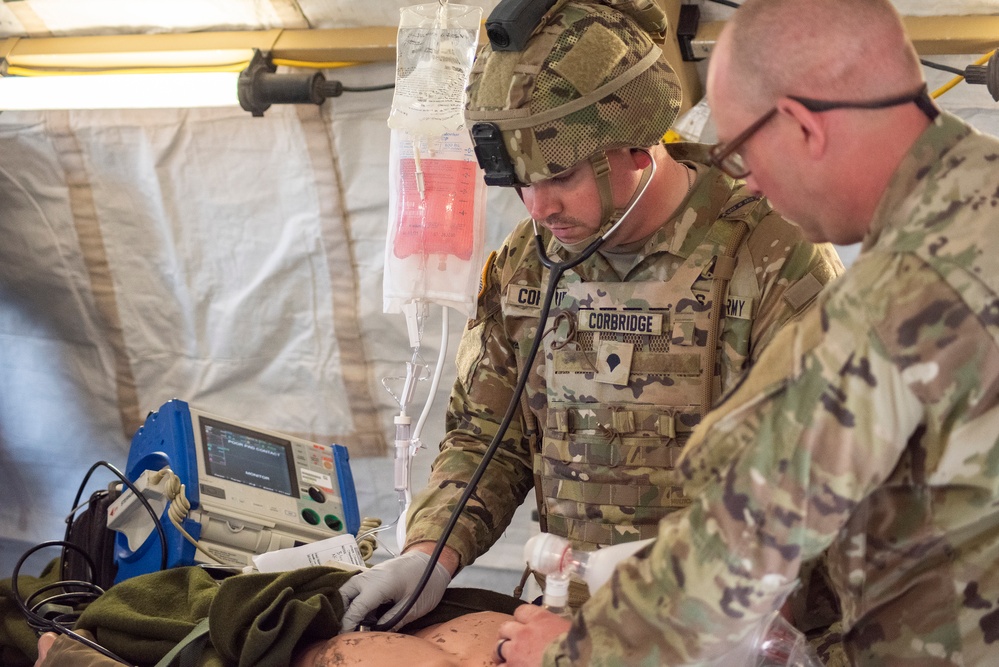 Idaho Army National Guard conducts joint medevac, casualty training Idaho Army National Guard conducts joint medevac, casualty training