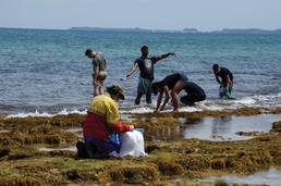 HIJIKI-GARI: COURTNEY OPENS BEACH FOR SEAWEED LOVERS