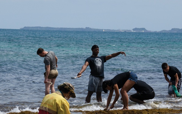 HIJIKI-GARI: COURTNEY OPENS BEACH FOR SEAWEED LOVERS / ひじき狩り、海藻好きに基地が砂浜開放