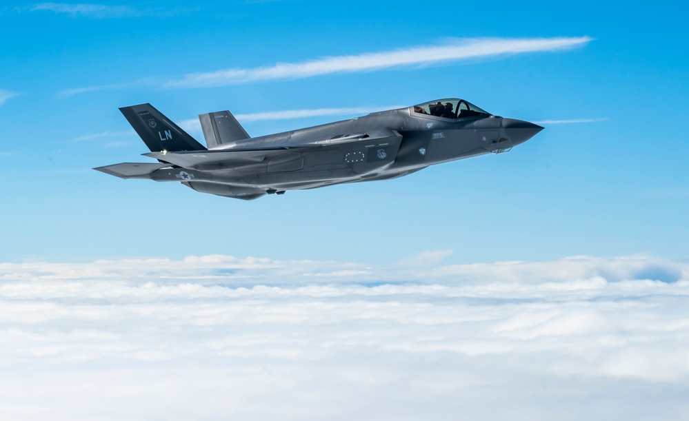 Flying high with our fighter friends