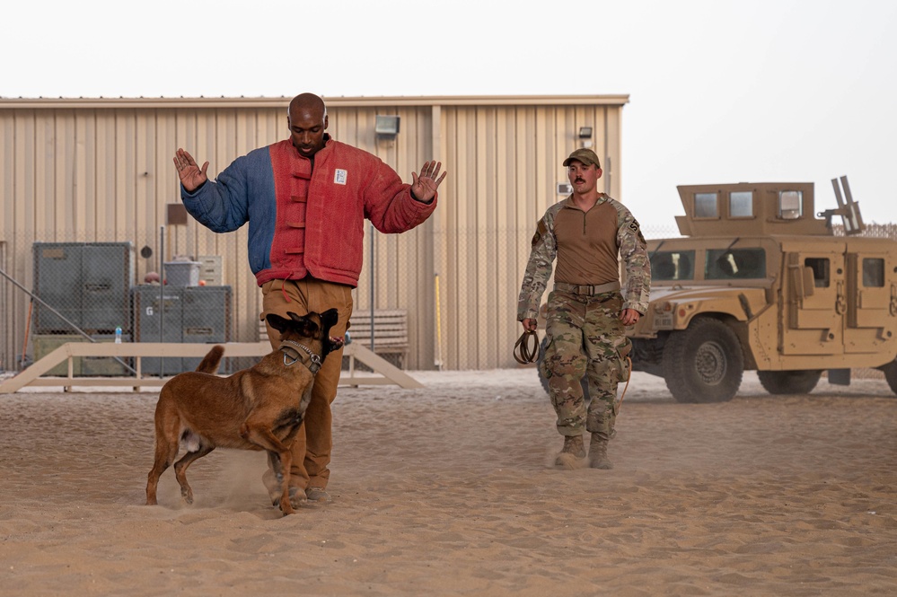 386th and 387th Expeditionary Security Forces Squadron celebrate Police Week